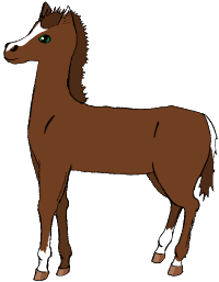 Poulain